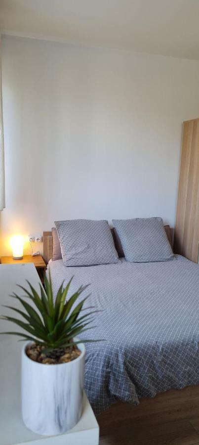 Lp's House Apartment